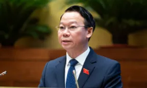 'Giá khởi điểm không thực tế dẫn đến trục lợi trong đấu giá đất'